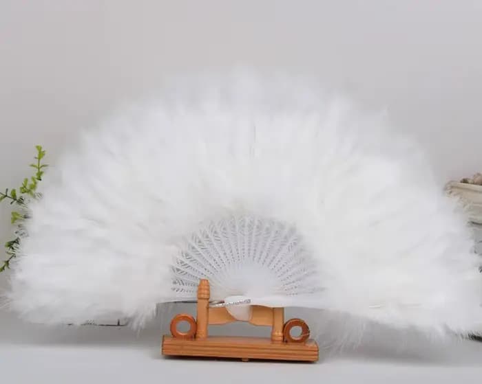 Éventail pliant à main en plumes pour décoration de danse, costume d'halloween, décorations de fête
