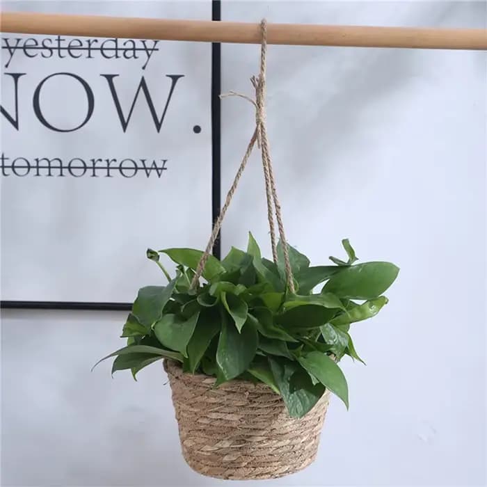 Jardinière suspendue en macramé, panier de rangement pour plantes, corde de Jute tissée, support de Pot de fleur d'intérieur et d'extérieur, cintres pour plantes, décoration de maison