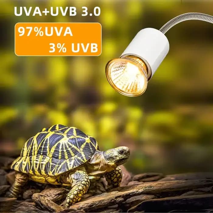 Lampe chauffante pour animaux de compagnie, lampe de repos pour tortue et lézard, ampoule pour caméléon, lampe chauffante pour reptiles, UVA et lumière du soleil non remboursable, 25W, 50W, 75W