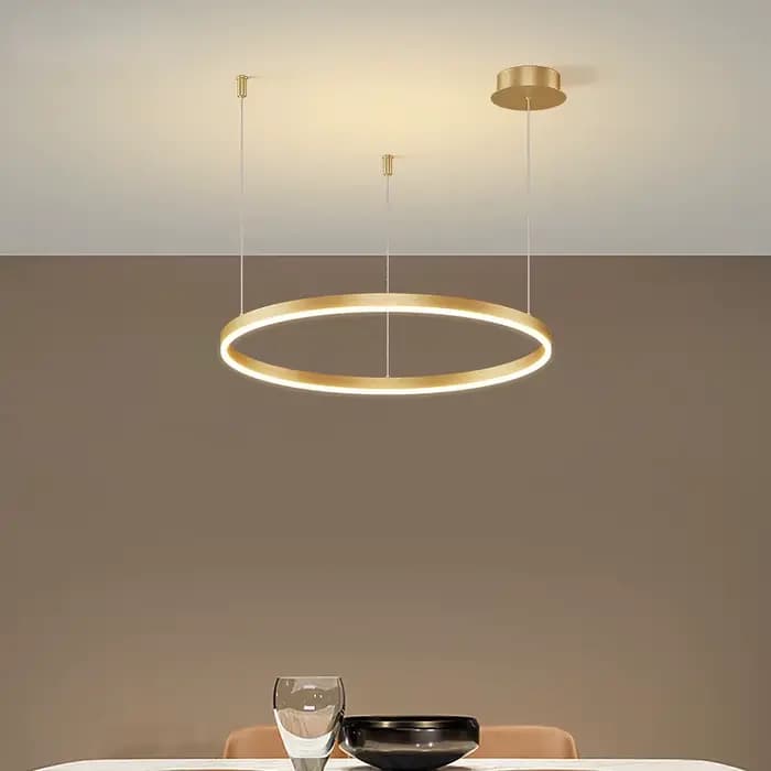 Lustre Led moderne salon anneaux brossés plafonnier suspension éclairage intérieur lampe suspendue or cadre noir