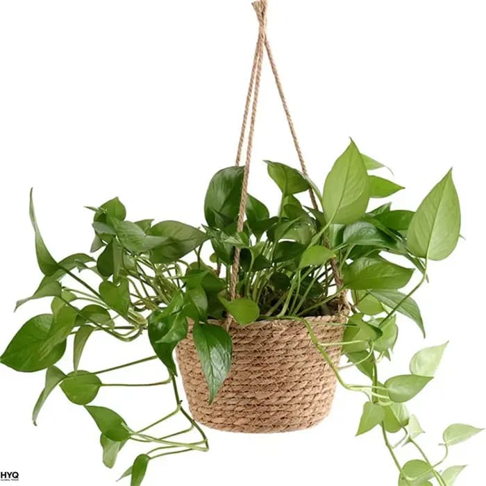 Pot suspendu de jardin en macramé, panier de rangement pour plantes en corde de jute tressée, support de pot de fleurs intérieur/extérieur, décoration d'intérieur