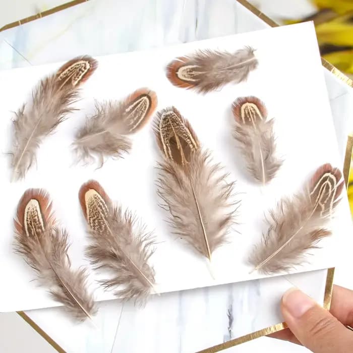 Plumes de faisan de paon naturelles, vente en gros, petits Plume, accessoires artisanaux pour la création de bijoux, décoration de vacances
