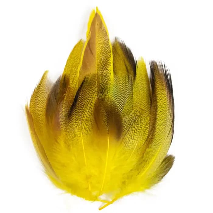 Plumes de faisan de paon naturelles, vente en gros, petits Plume, accessoires artisanaux pour la création de bijoux, décoration de vacances