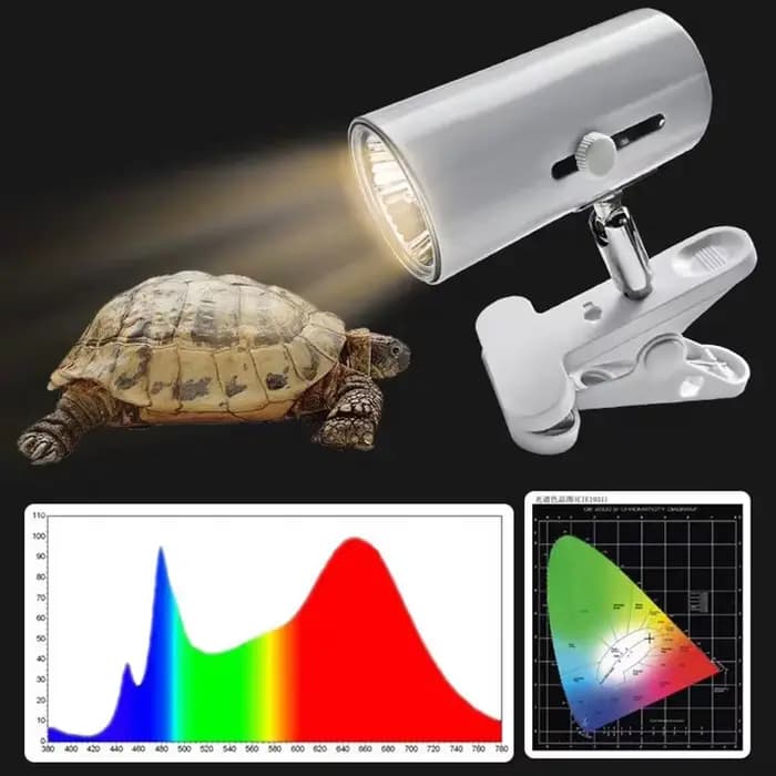 Lampe pour reptiles, animaux aquatiques, lézards, ampoule chauffante, tortue, bain de soleil, lumières UVA + UVB pour accessoires de tortue domestique