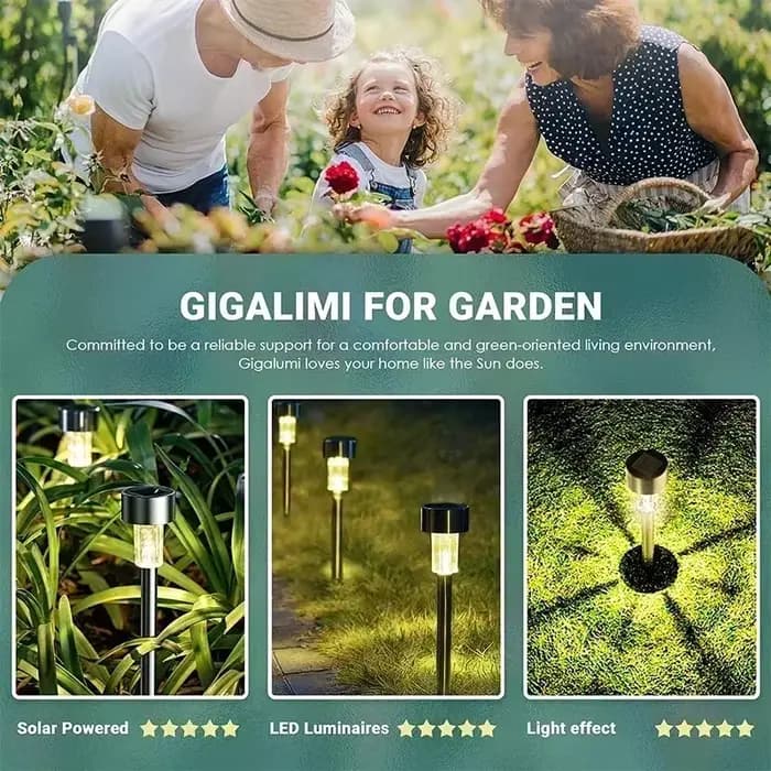Lampe solaire LED d'extérieur, imperméable, luminaire de paysage, idéal pour un jardin, pack de 10, 20 ou 30 unités