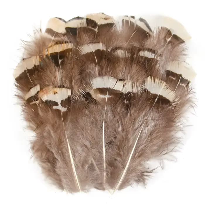 Plumes de faisan de paon naturelles, vente en gros, petits Plume, accessoires artisanaux pour la création de bijoux, décoration de vacances