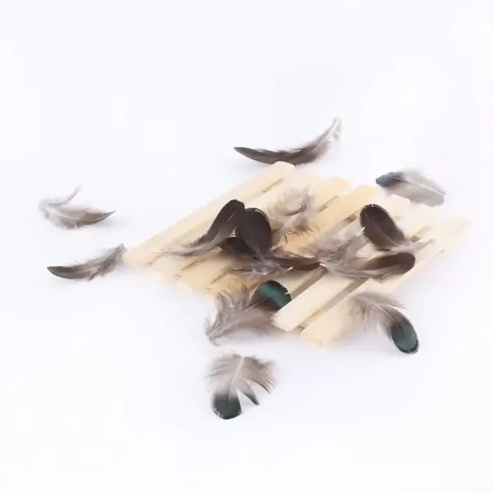 Plumes de faisan naturelles pour l'artisanat, bijoux à bricoler soi-même, accessoires exécutifs, plume bon marché, décorations de mariage, haute qualité, 6-8cm