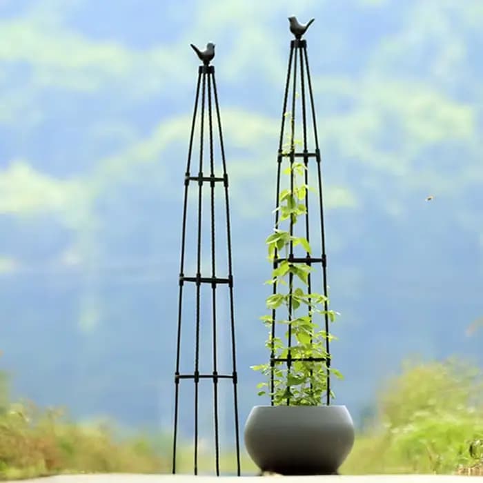 Treillis d'obélisque de jardin pour plantes grimpantes, treillis rond de buisson de roses d'extérieur pour Pots, treillis de fleurs en métal antirouille