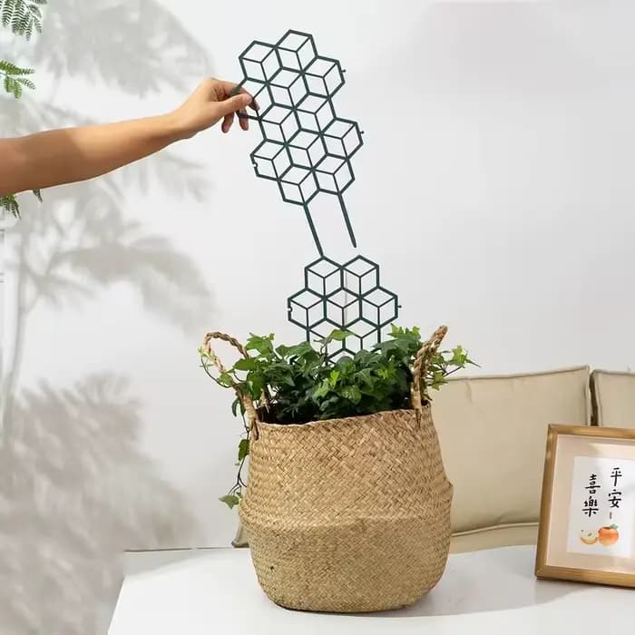 Support de plantes en nid d'abeille, treillis de jardin robuste et respirant, outil de jardinage pour la croissance des plantes