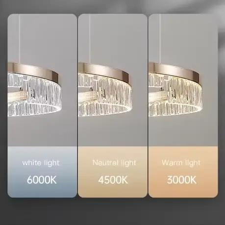 Style de luxe moderne Led lustre pour salon chambre salle à manger or pâle Lustre lampe anneau rond Design pendentif
